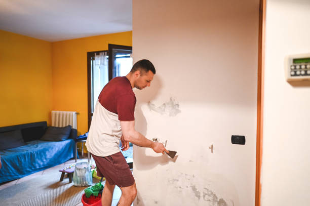 Best Office Mold Removal Services  in Hawi, HI